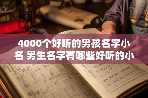 4000个好听的男孩名字小名 男生名字有哪些好听的小名