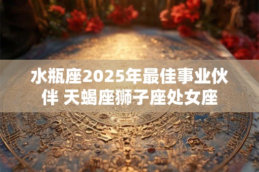 水瓶座2025年最佳事业伙伴 天蝎座狮子座处女座