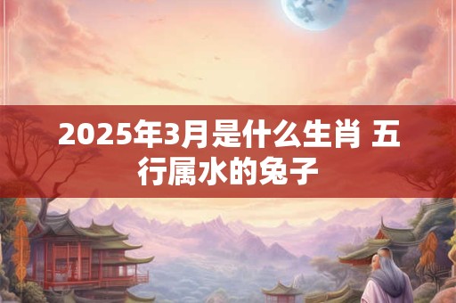 2025年3月是什么生肖 五行属水的兔子