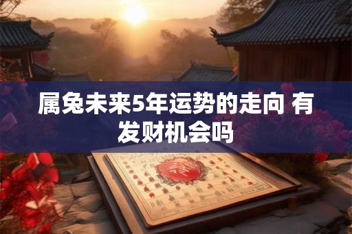 属兔未来5年运势的走向 有发财机会吗