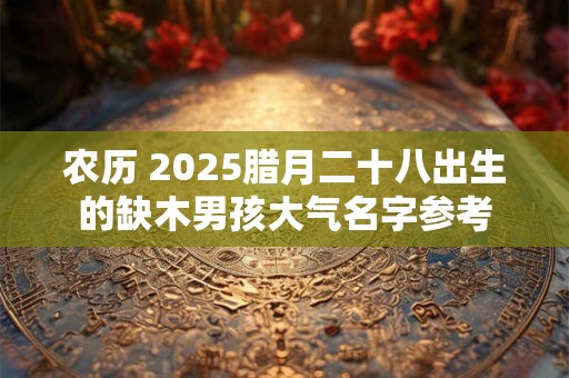 农历 2025腊月二十八出生的缺木男孩大气名字参考