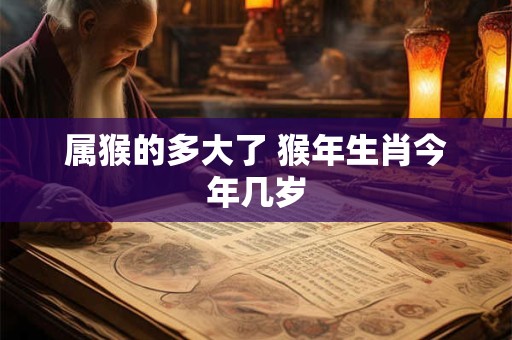 属猴的多大了 猴年生肖今年几岁