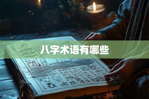 八字术语有哪些