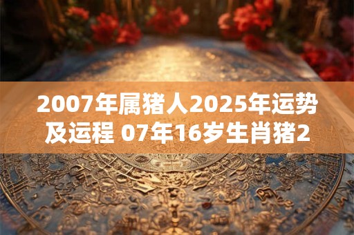 2007年属猪人2025年运势及运程 07年16岁生肖猪2025年每月运势