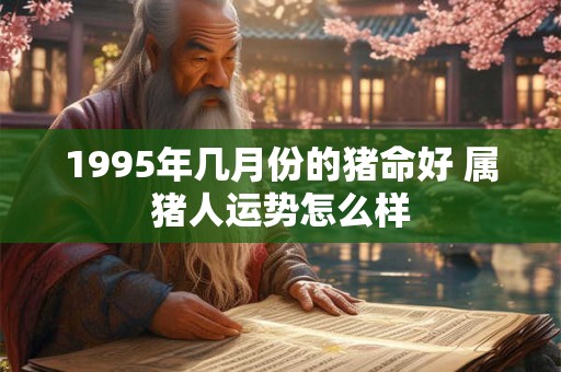 1995年几月份的猪命好 属猪人运势怎么样