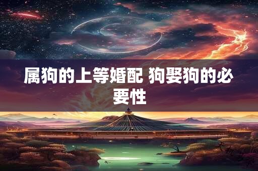 属狗的上等婚配 狗娶狗的必要性