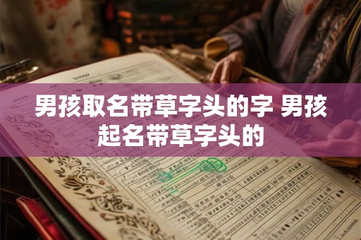 男孩取名带草字头的字 男孩起名带草字头的