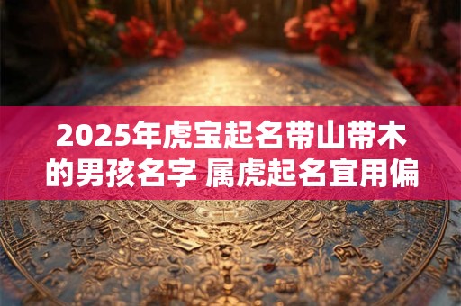 2025年虎宝起名带山带木的男孩名字 属虎起名宜用偏旁部首