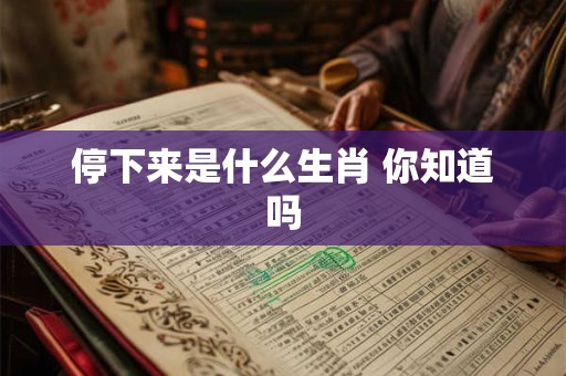 停下来是什么生肖 你知道吗