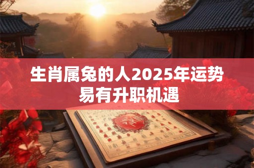 生肖属兔的人2025年运势 易有升职机遇