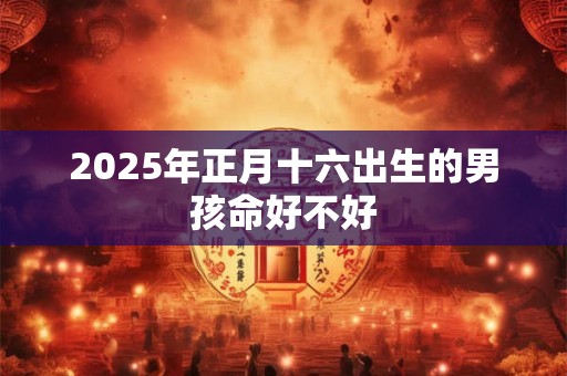 2025年正月十六出生的男孩命好不好