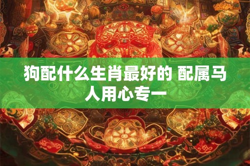 狗配什么生肖最好的 配属马人用心专一