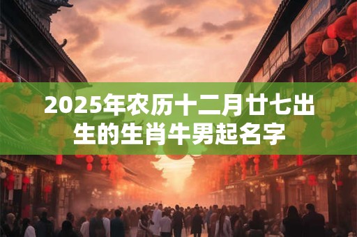 2025年农历十二月廿七出生的生肖牛男起名字
