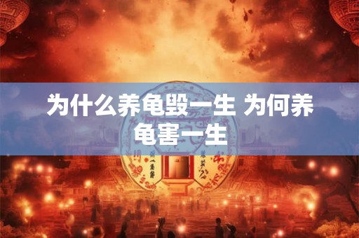 为什么养龟毁一生 为何养龟害一生