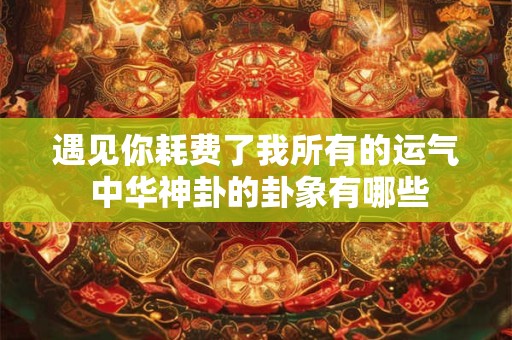 遇见你耗费了我所有的运气 中华神卦的卦象有哪些