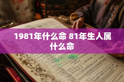 1981年什么命 81年生人属什么命