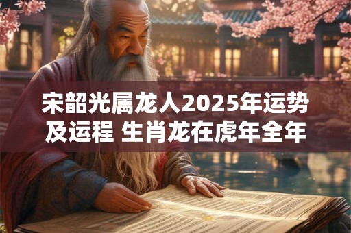 宋韶光属龙人2025年运势及运程 生肖龙在虎年全年每月运势如何