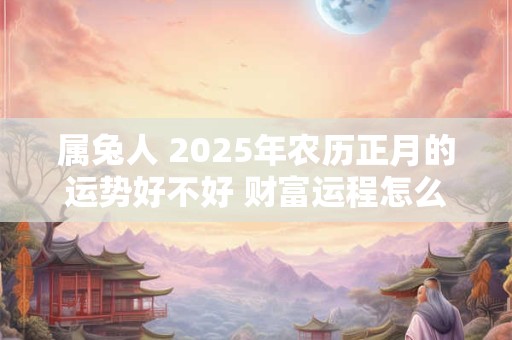 属兔人 2026年农历正月的运势好不好 财富运程怎么样