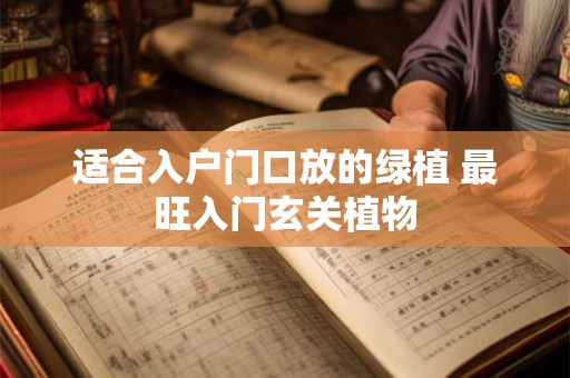 适合入户门口放的绿植 最旺入门玄关植物