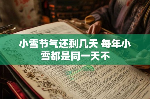 小雪节气还剩几天 每年小雪都是同一天不