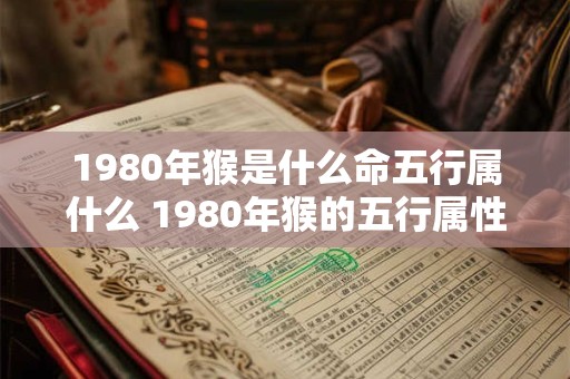 1980年猴是什么命五行属什么 1980年猴的五行属性是什么