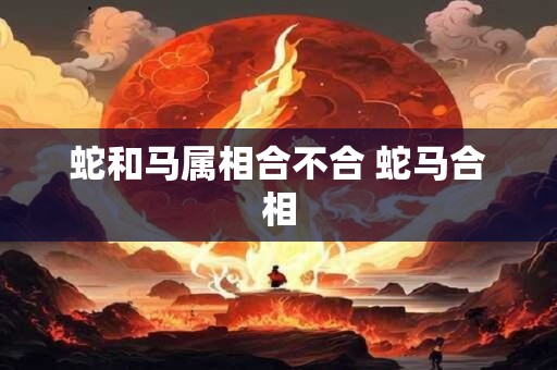 蛇和马属相合不合 蛇马合相