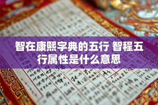 智在康熙字典的五行 智程五行属性是什么意思