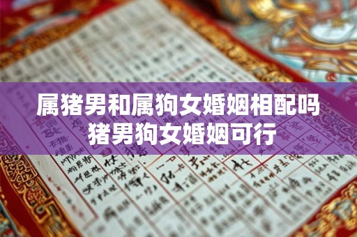 属猪男和属狗女婚姻相配吗 猪男狗女婚姻可行
