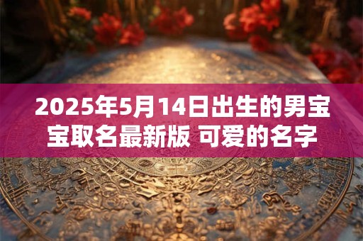 2025年5月14日出生的男宝宝取名最新版 可爱的名字