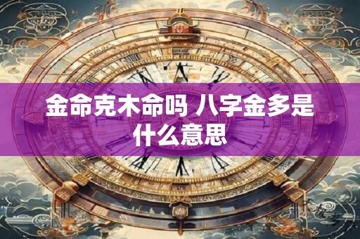 金命克木命吗 八字金多是什么意思