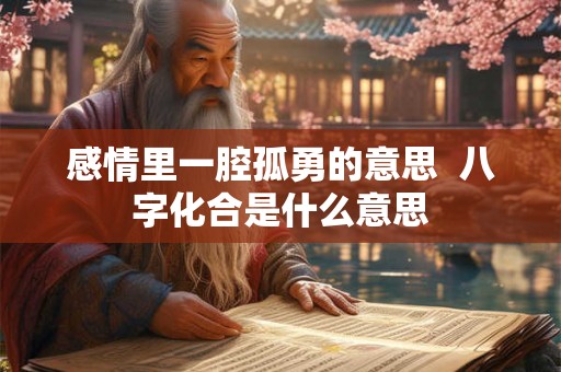 感情里一腔孤勇的意思  八字化合是什么意思