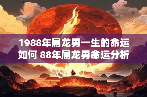 1988年属龙男一生的命运如何 88年属龙男命运分析