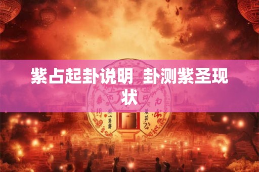 紫占起卦说明  卦测紫圣现状