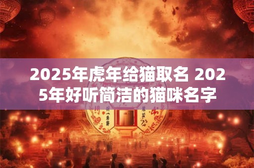 2025年虎年给猫取名 2025年好听简洁的猫咪名字