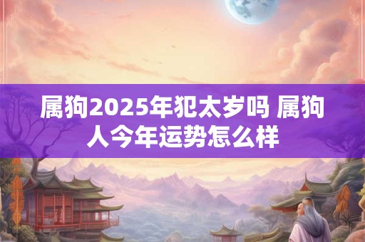 属狗2025年犯太岁吗 属狗人今年运势怎么样