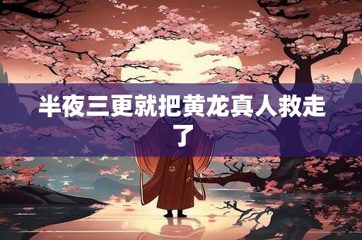 半夜三更就把黄龙真人救走了