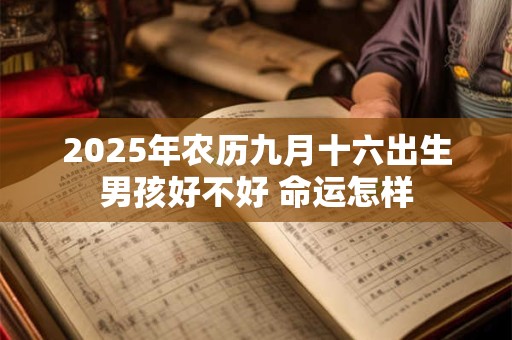 2025年农历九月十六出生男孩好不好 命运怎样