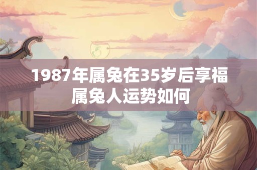 1987年属兔在35岁后享福 属兔人运势如何
