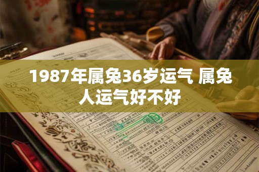 1987年属兔36岁运气 属兔人运气好不好