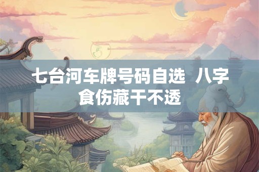 七台河车牌号码自选  八字食伤藏干不透