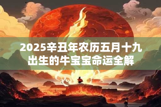 2025辛丑年农历五月十九出生的牛宝宝命运全解