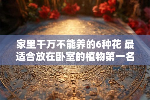家里千万不能养的6种花 最适合放在卧室的植物第一名