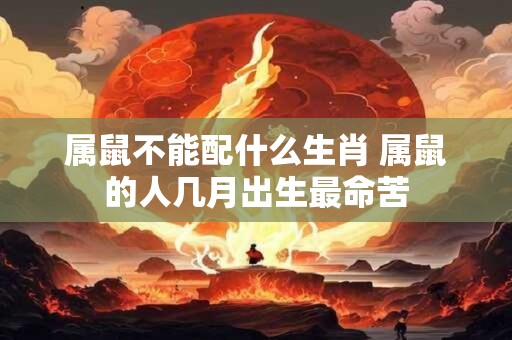 属鼠不能配什么生肖 属鼠的人几月出生最命苦 属鼠不能配什么生肖 属鼠的人几月出生最命苦