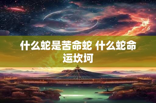什么蛇是苦命蛇 什么蛇命运坎坷