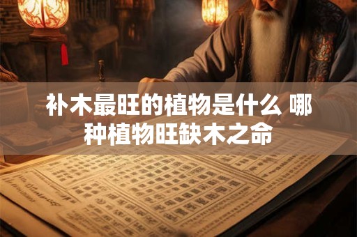 补木最旺的植物是什么 哪种植物旺缺木之命