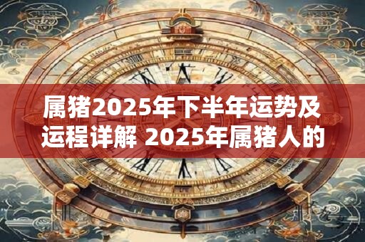 属猪2025年下半年运势及运程详解 2025年属猪人的全年每月运势