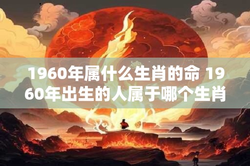 1960年属什么生肖的命 1960年出生的人属于哪个生肖