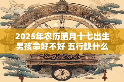 2025年农历腊月十七出生男孩命好不好 五行缺什么