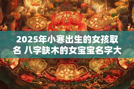 2025年小寒出生的女孩取名 八字缺木的女宝宝名字大全