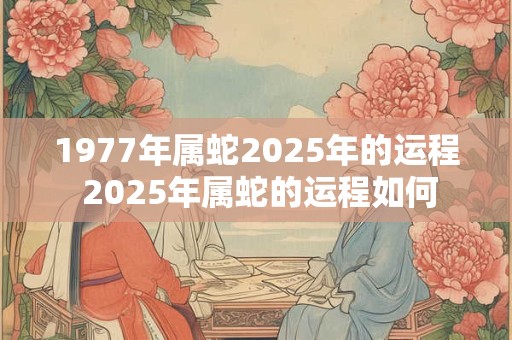 1977年属蛇2025年的运程 2025年属蛇的运程如何